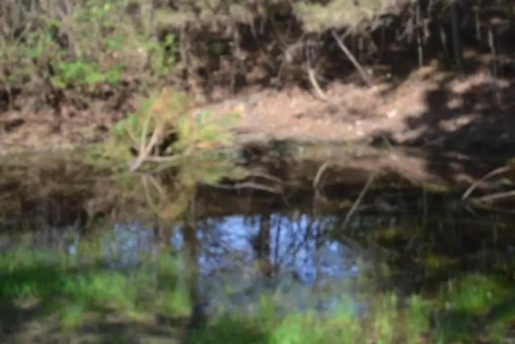87+/-AC Boles Road Hilham TN 38568