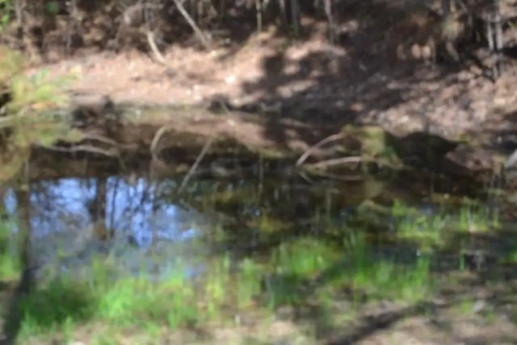 87+/-AC Boles Road Hilham TN 38568