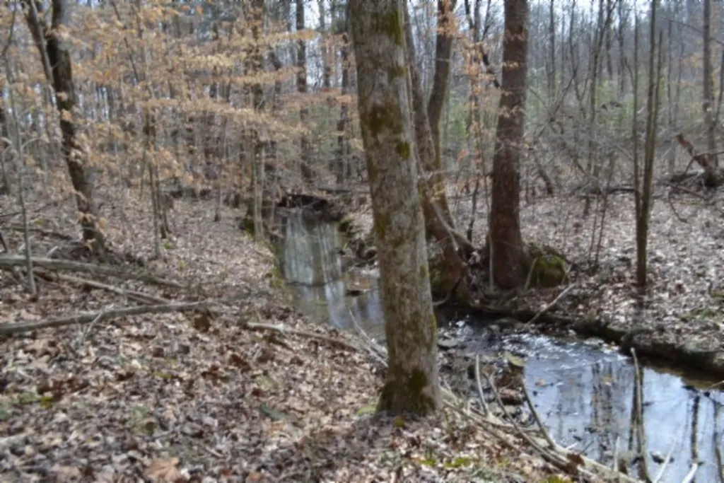 87+/-AC Boles Road Hilham TN 38568