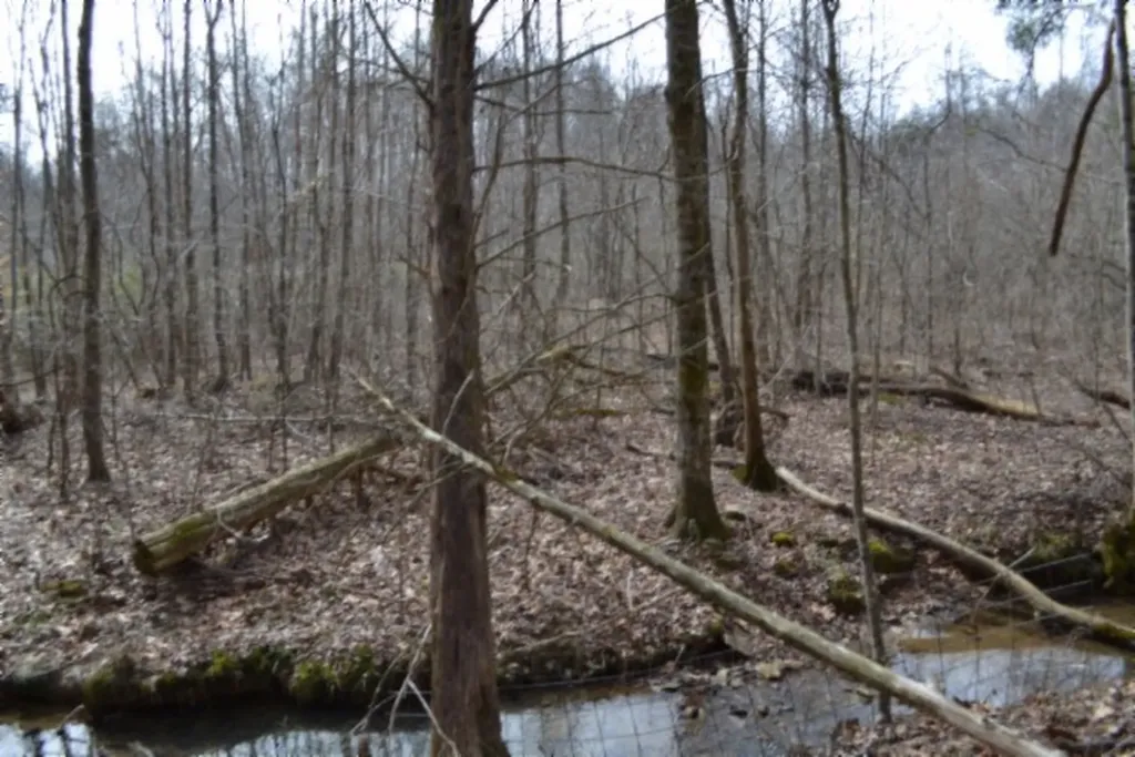 87+/-AC Boles Road Hilham TN 38568