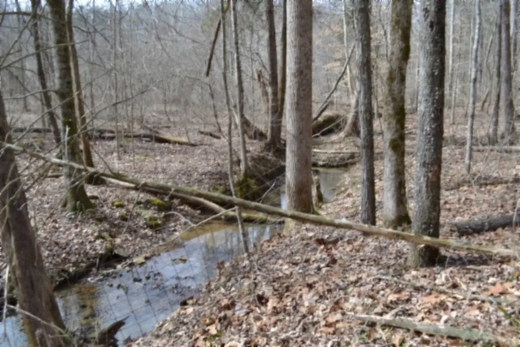 87+/-AC Boles Road Hilham TN 38568