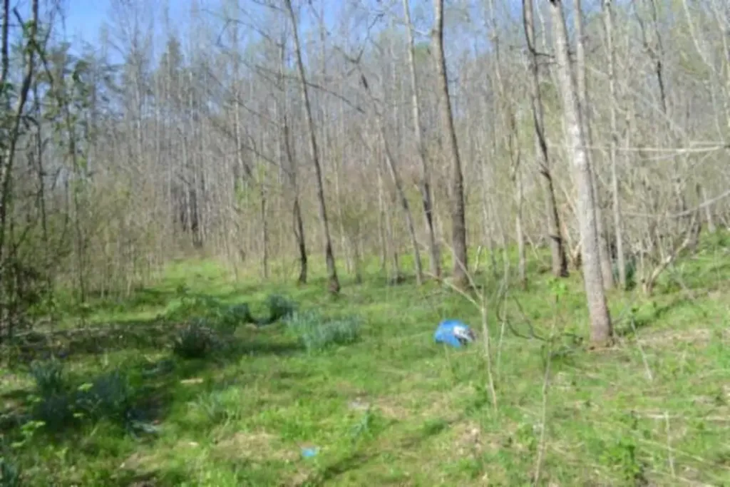 87+/-AC Boles Road Hilham TN 38568