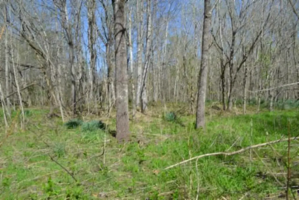 87+/-AC Boles Road Hilham TN 38568