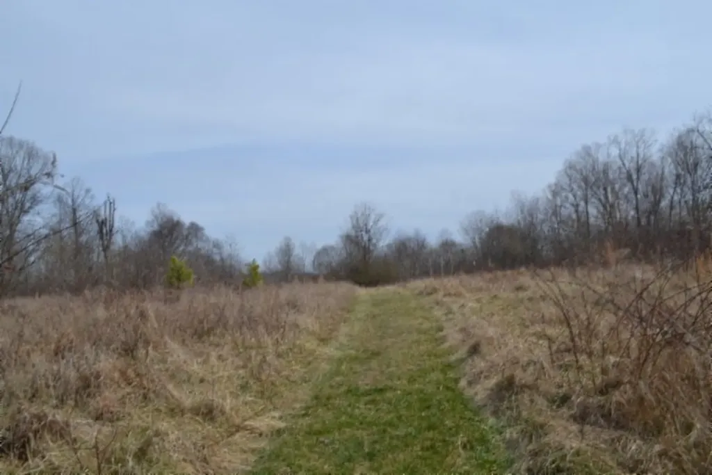 87+/-AC Boles Road Hilham TN 38568