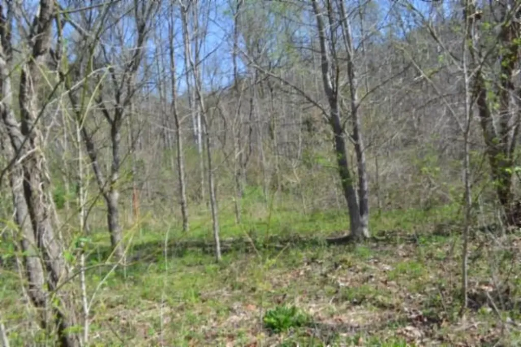 87+/-AC Boles Road Hilham TN 38568