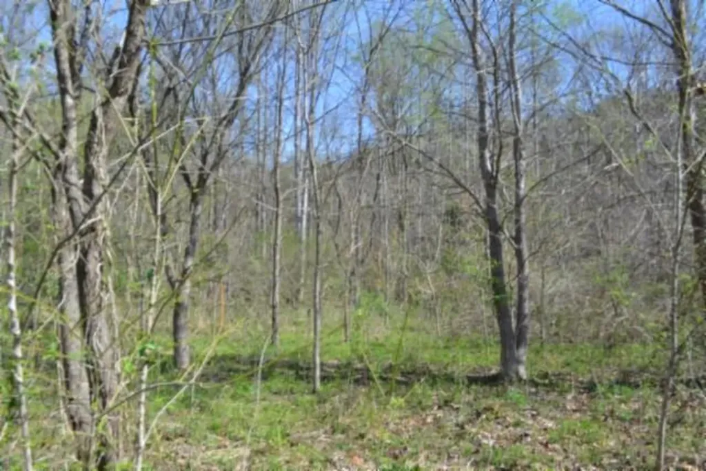 87+/-AC Boles Road Hilham TN 38568