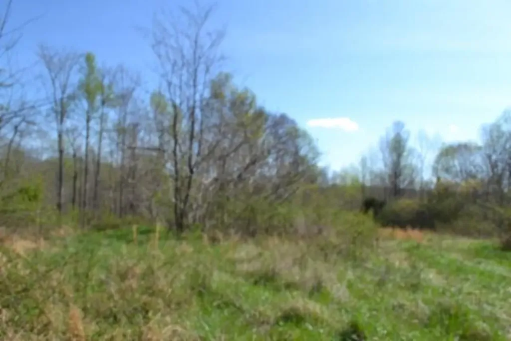 87+/-AC Boles Road Hilham TN 38568