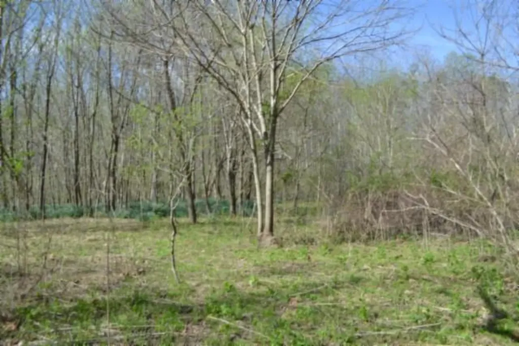 87+/-AC Boles Road Hilham TN 38568