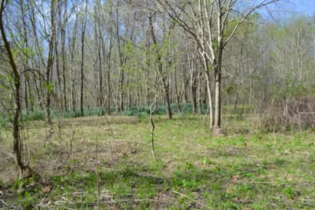 87+/-AC Boles Road Hilham TN 38568