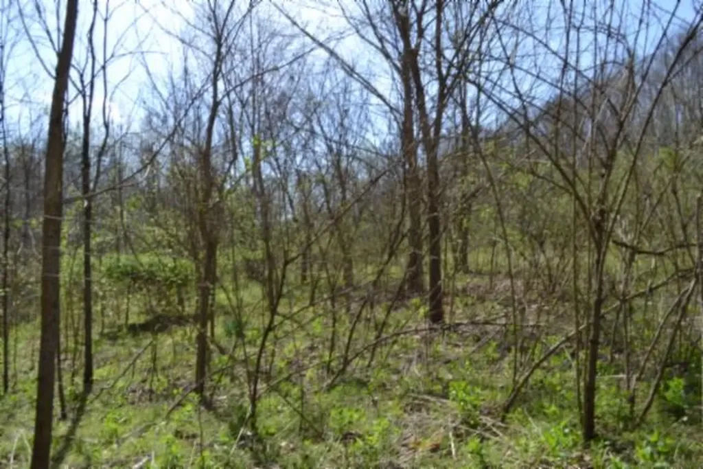 87+/-AC Boles Road Hilham TN 38568