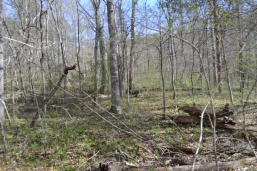 87+/-AC Boles Road Hilham TN 38568
