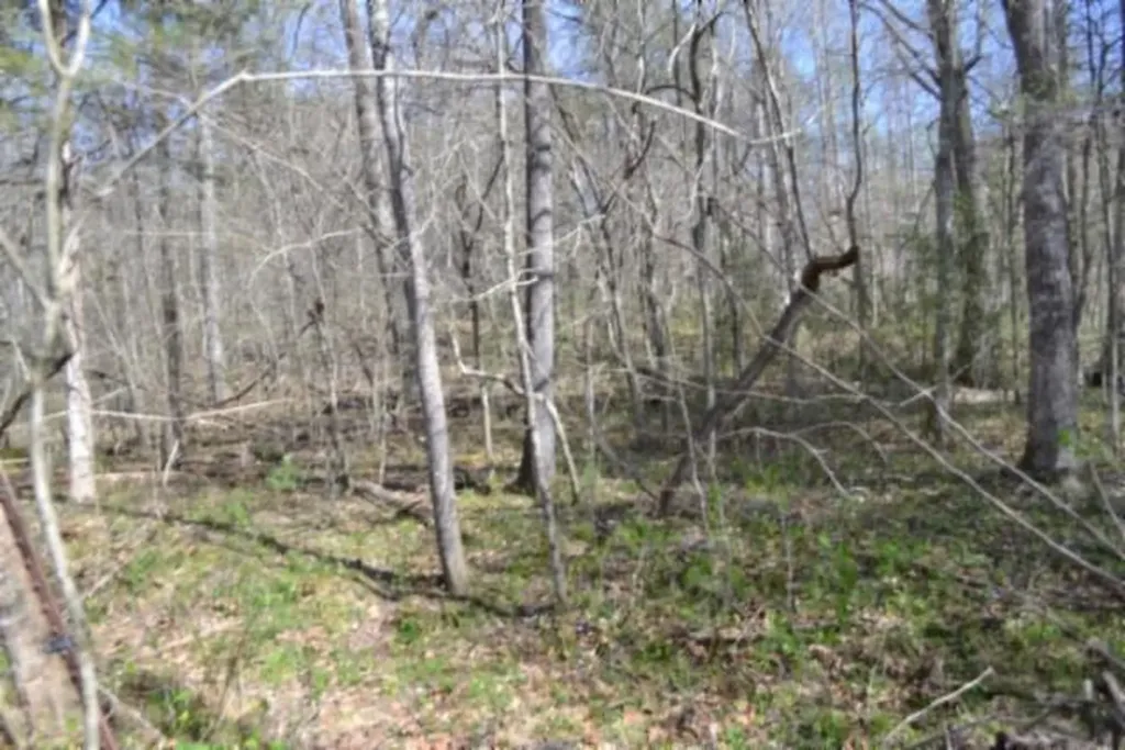 87+/-AC Boles Road Hilham TN 38568