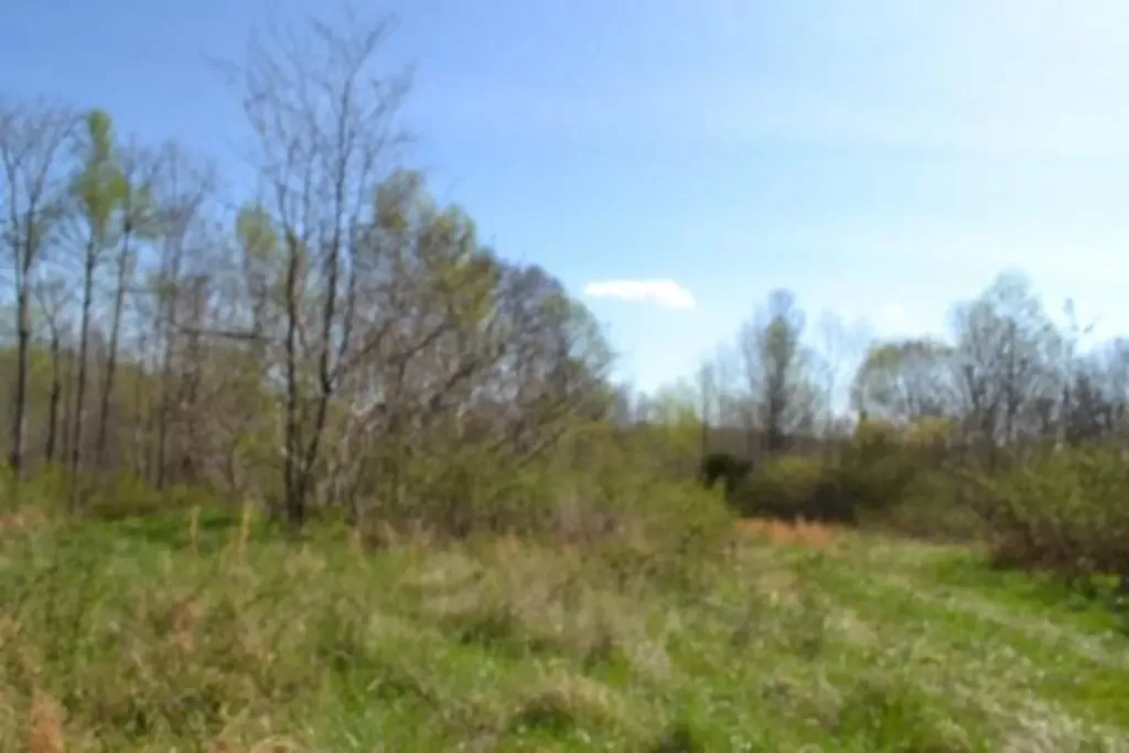 87+/-AC Boles Road Hilham TN 38568