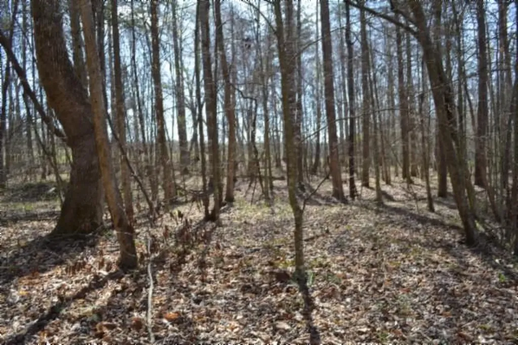 87+/-AC Boles Road Hilham TN 38568