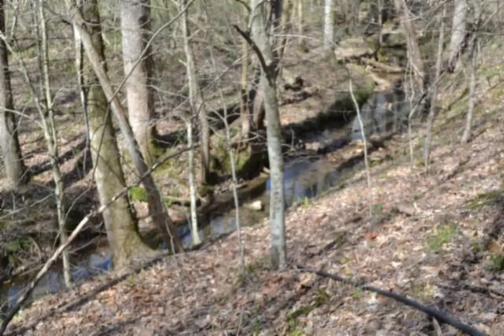87+/-AC Boles Road Hilham TN 38568