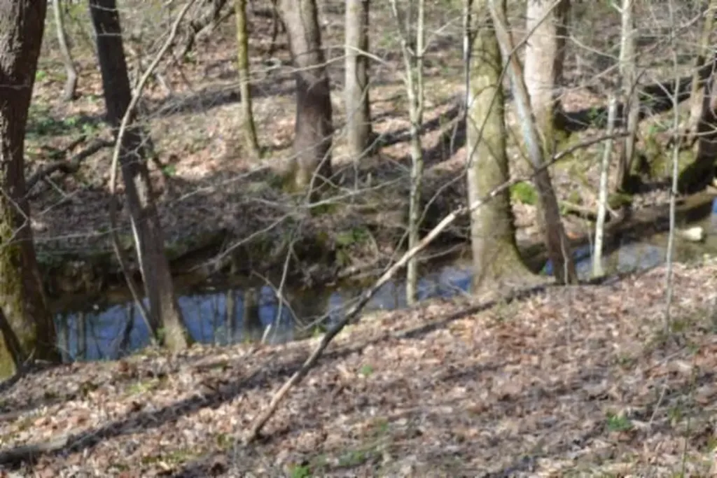 87+/-AC Boles Road Hilham TN 38568