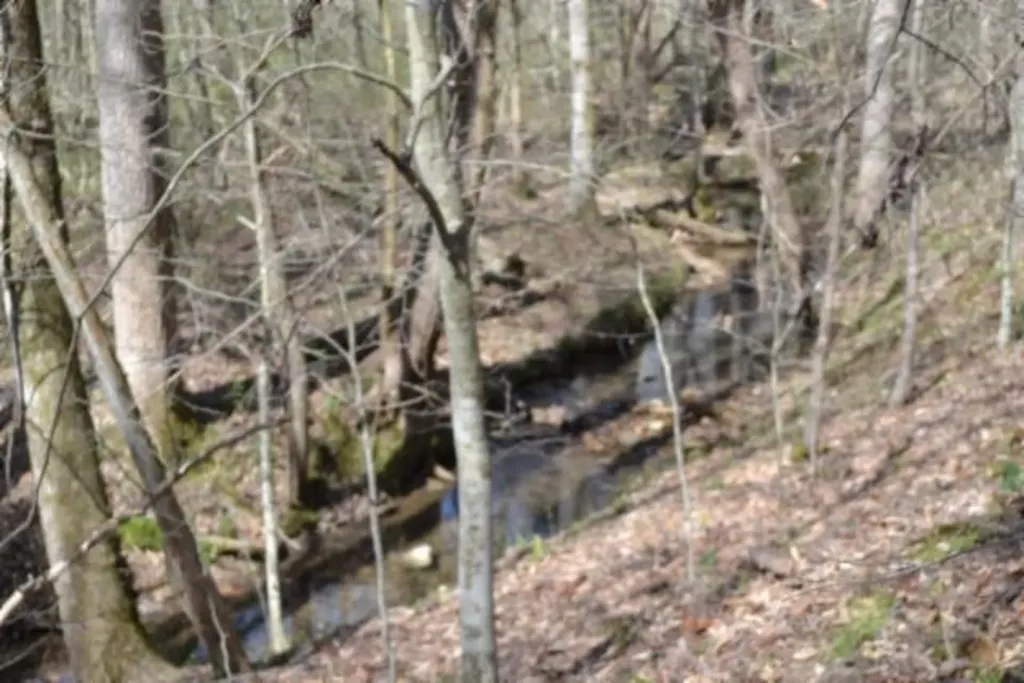 87+/-AC Boles Road Hilham TN 38568