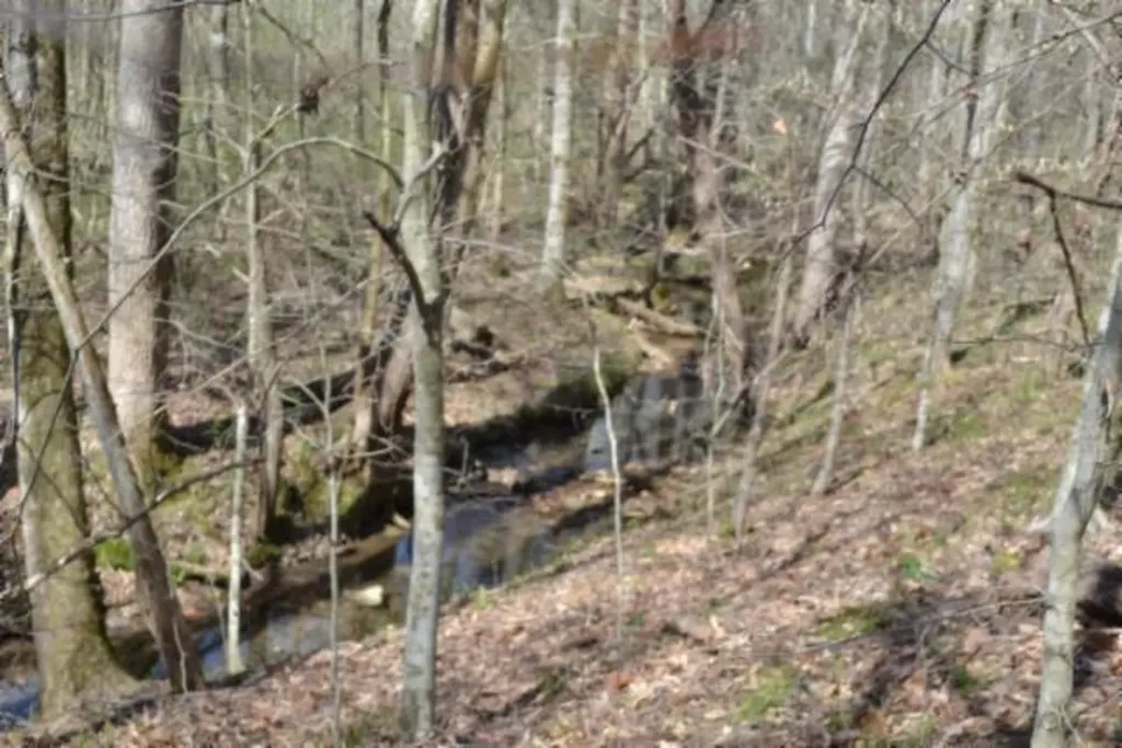 87+/-AC Boles Road Hilham TN 38568