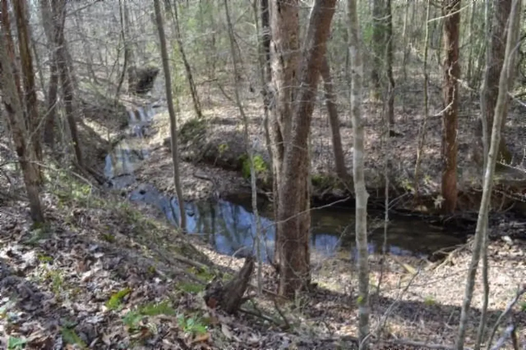 87+/-AC Boles Road Hilham TN 38568