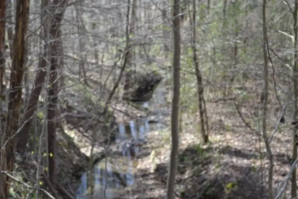 87+/-AC Boles Road Hilham TN 38568