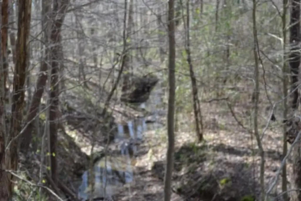87+/-AC Boles Road Hilham TN 38568