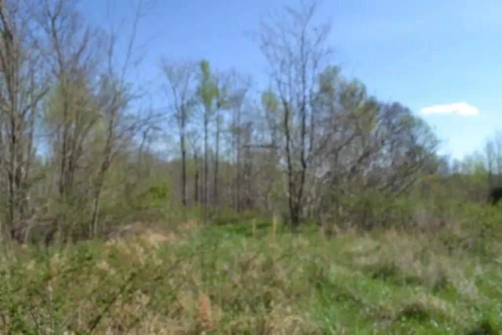 87+/-AC Boles Road Hilham TN 38568