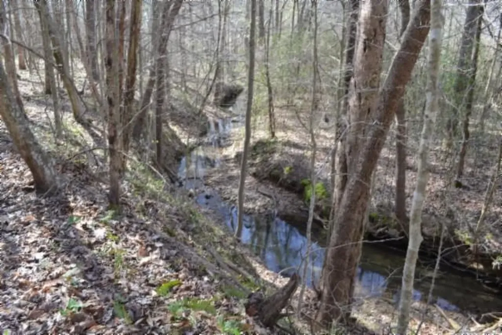 87+/-AC Boles Road Hilham TN 38568