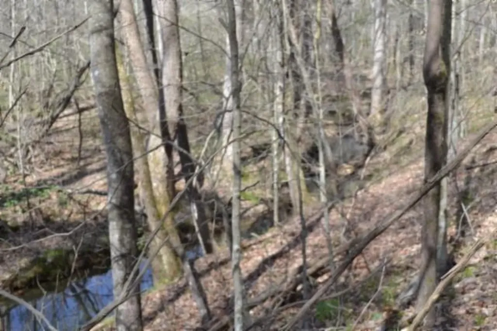 87+/-AC Boles Road Hilham TN 38568