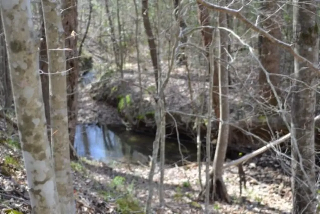 87+/-AC Boles Road Hilham TN 38568
