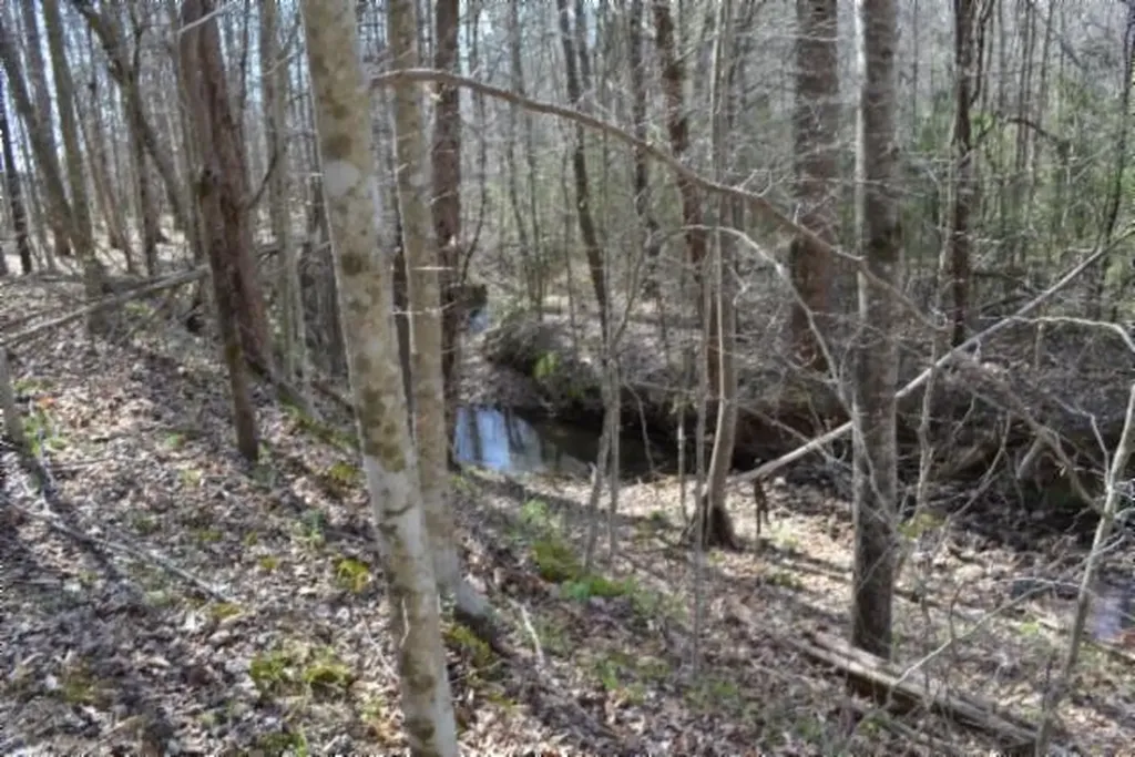 87+/-AC Boles Road Hilham TN 38568