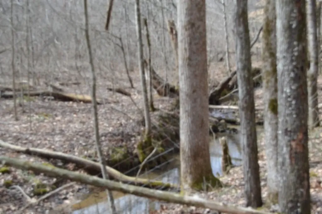 87+/-AC Boles Road Hilham TN 38568