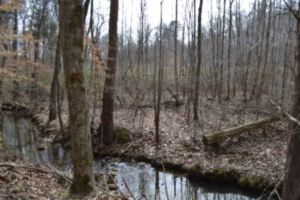 87+/-AC Boles Road Hilham TN 38568