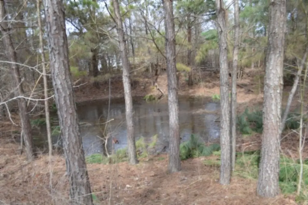 87+/-AC Boles Road Hilham TN 38568