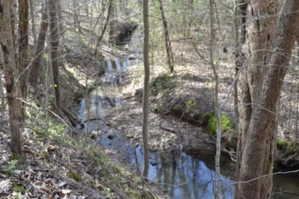 87+/-AC Boles Road Hilham TN 38568