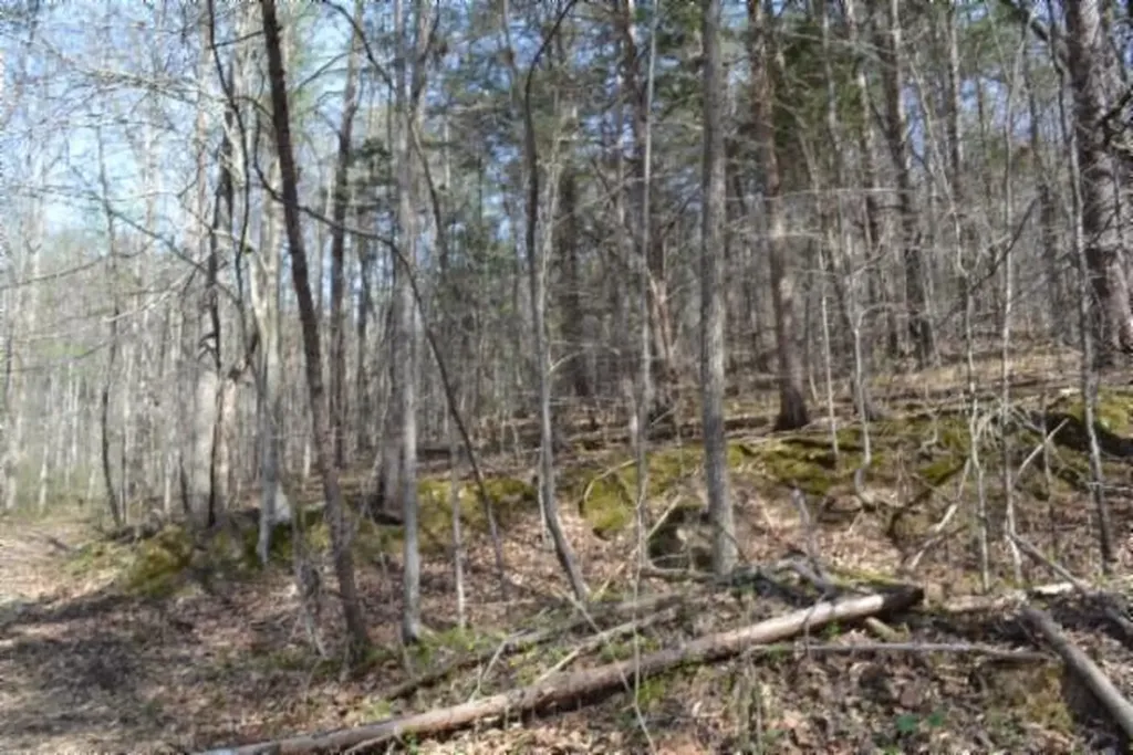 87+/-AC Boles Road Hilham TN 38568