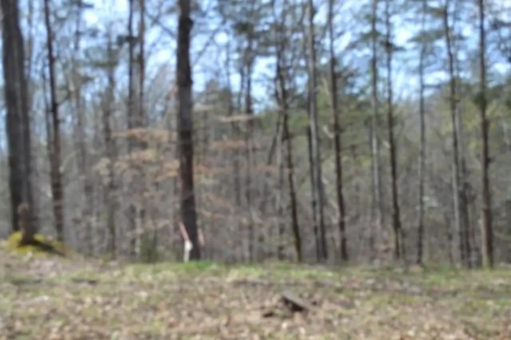 87+/-AC Boles Road Hilham TN 38568
