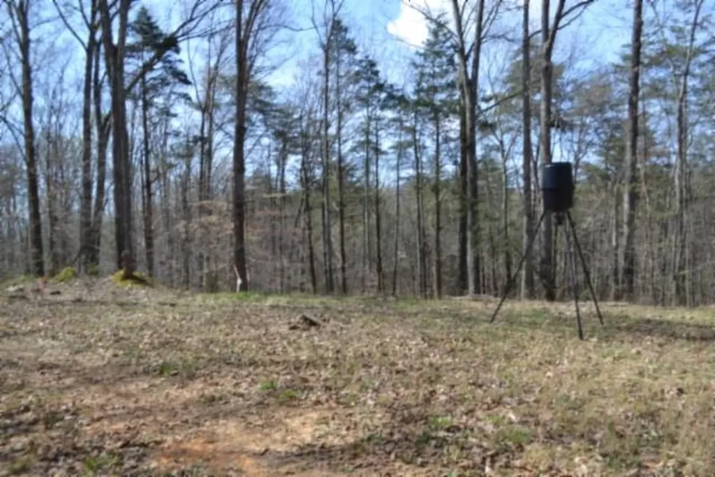 87+/-AC Boles Road Hilham TN 38568