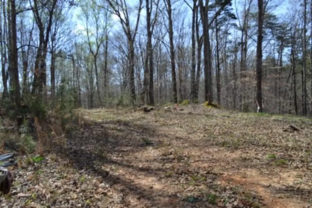 87+/-AC Boles Road Hilham TN 38568