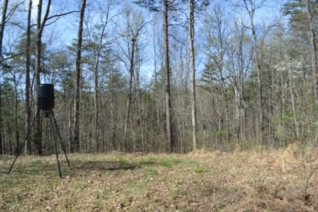 87+/-AC Boles Road Hilham TN 38568