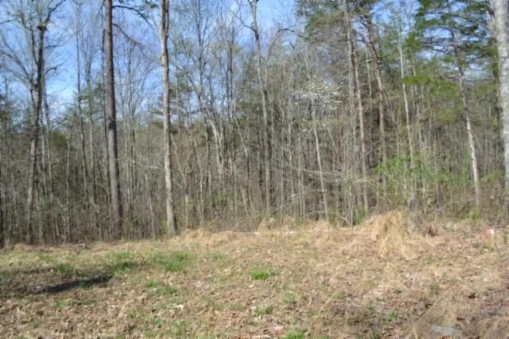 87+/-AC Boles Road Hilham TN 38568