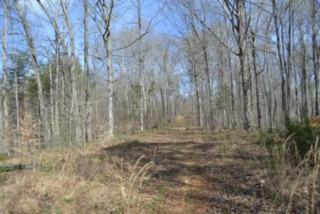 87+/-AC Boles Road Hilham TN 38568