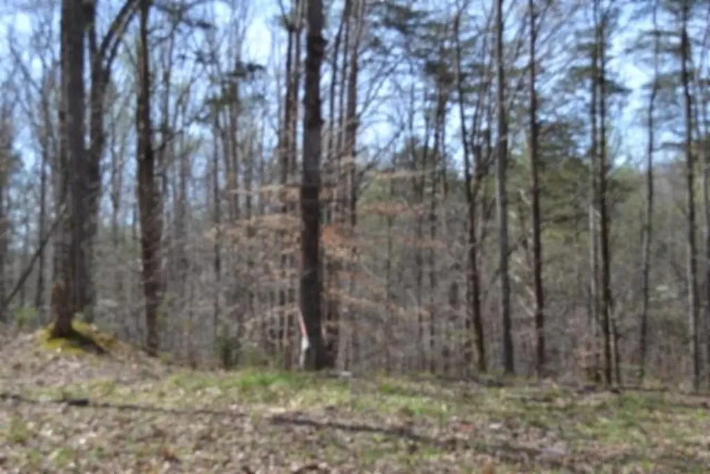 87+/-AC Boles Road Hilham TN 38568
