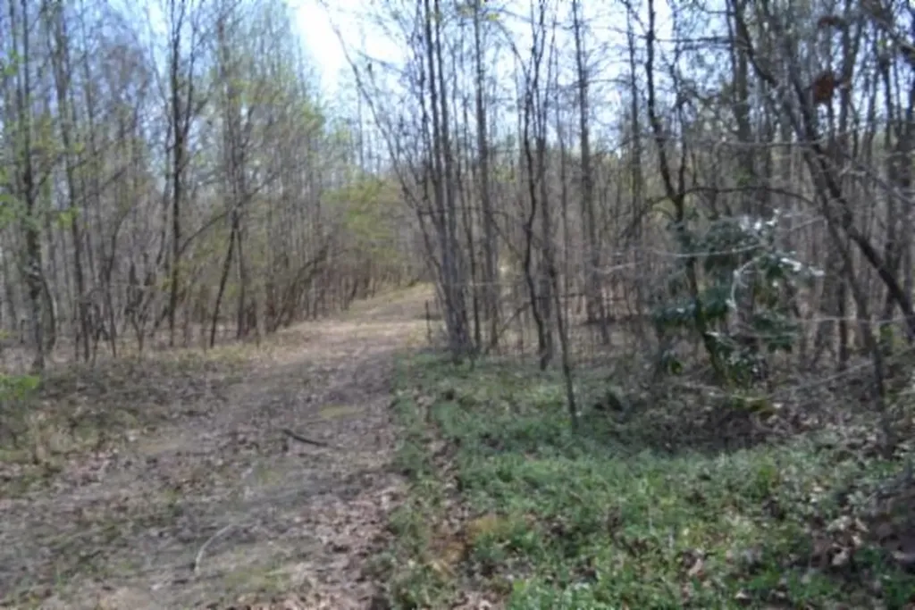 87+/-AC Boles Road Hilham TN 38568