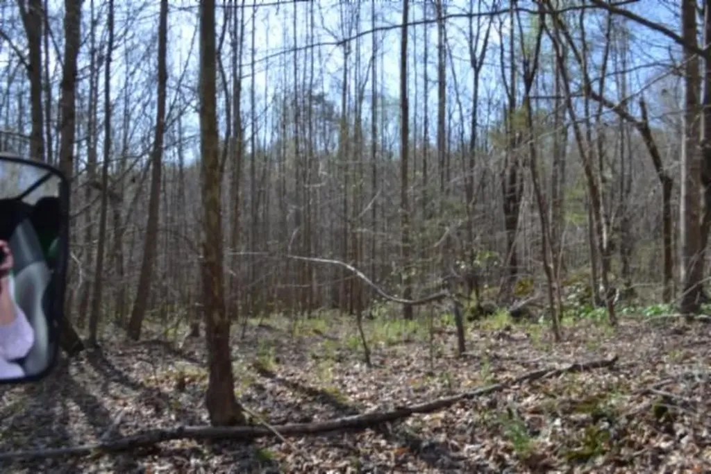 87+/-AC Boles Road Hilham TN 38568