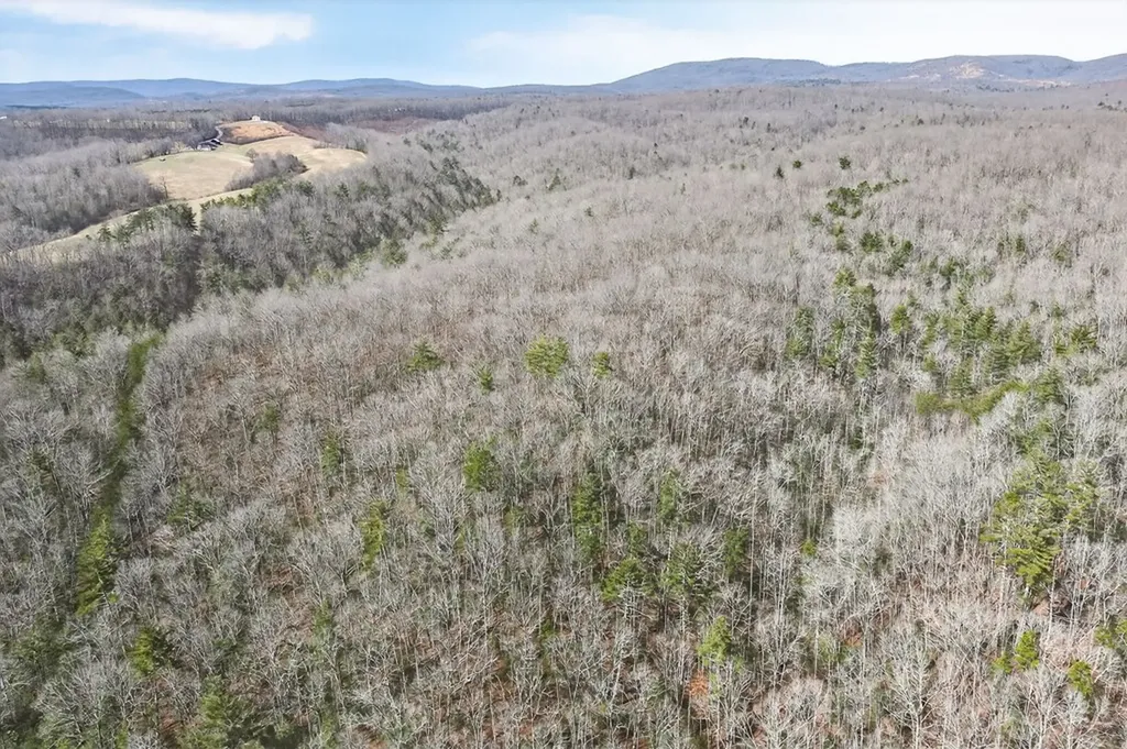 0 Dogwood Road Grandview TN 37337