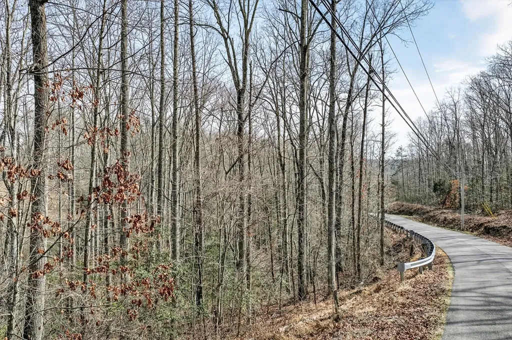 0 Dogwood Road Grandview TN 37337