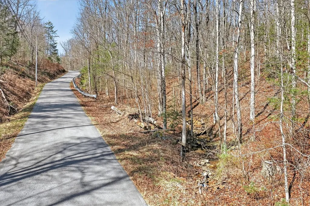 0 Dogwood Road Grandview TN 37337