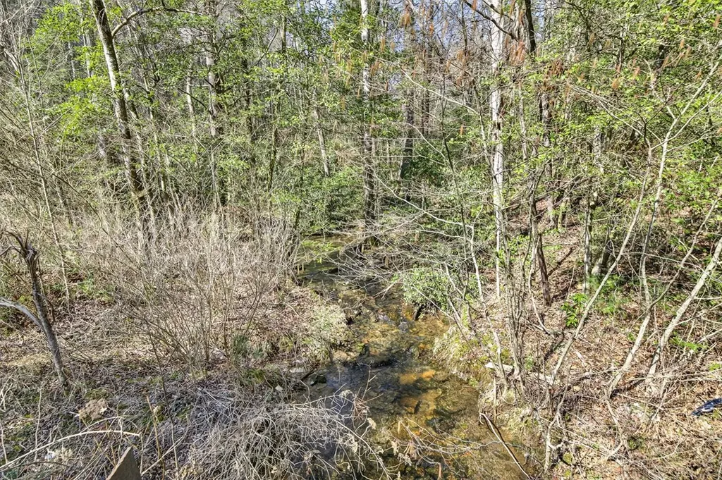 0 Dogwood Road Grandview TN 37337