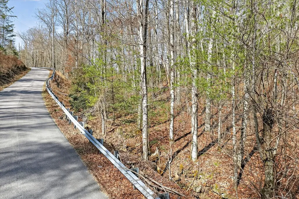 0 Dogwood Road Grandview TN 37337