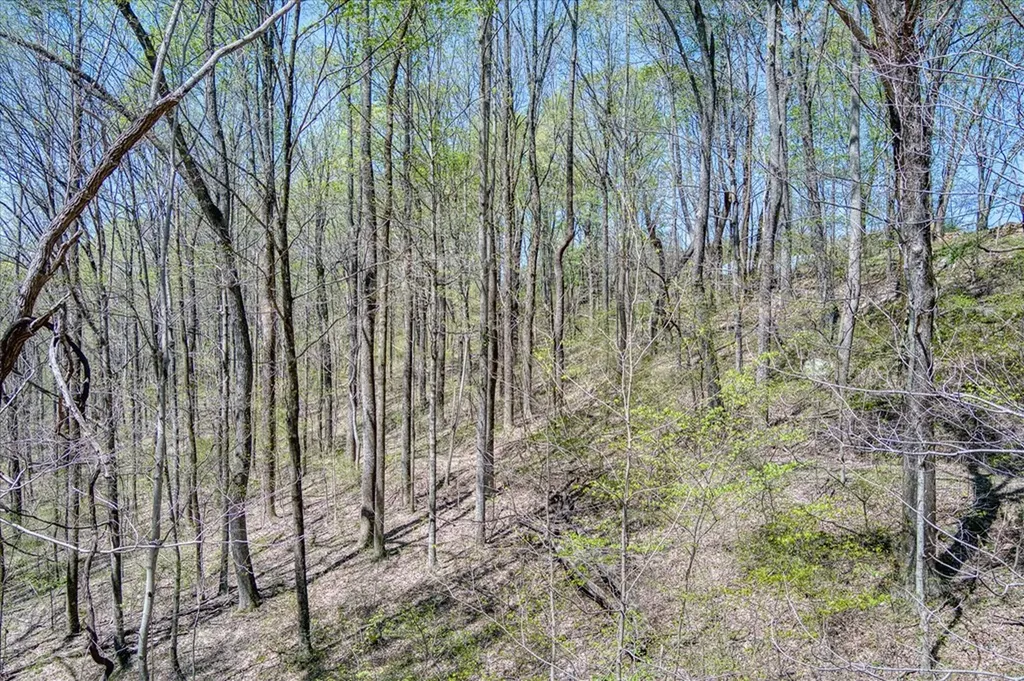 34 Acres Rocky Point Road Cookeville TN 38506